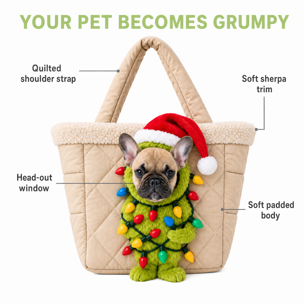 PawGrump Grinch Pet carrier™
